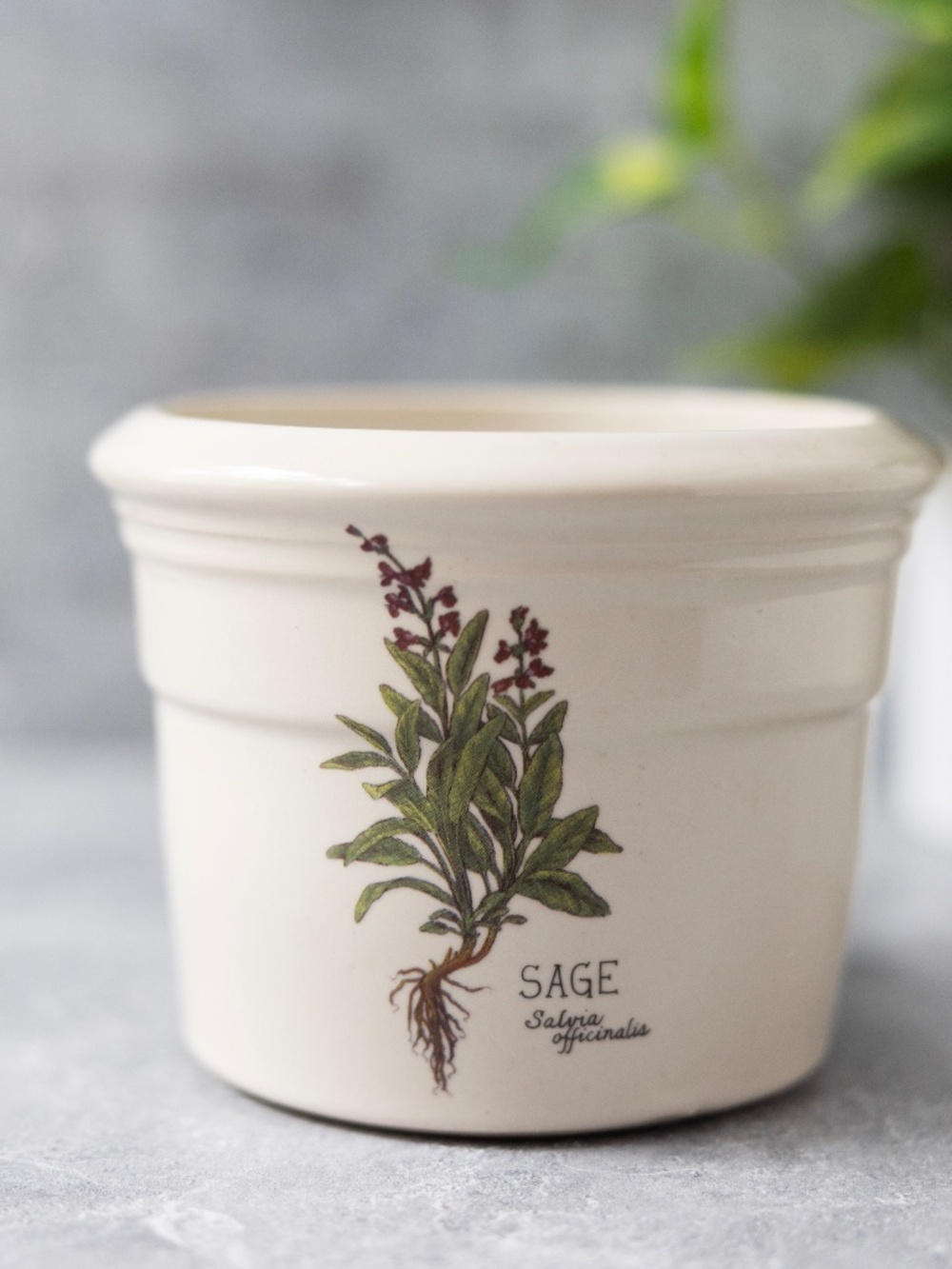 Zanesville Pottery Ceramic Kitchen Crock Herb/Floral Planter Sage 4" tall